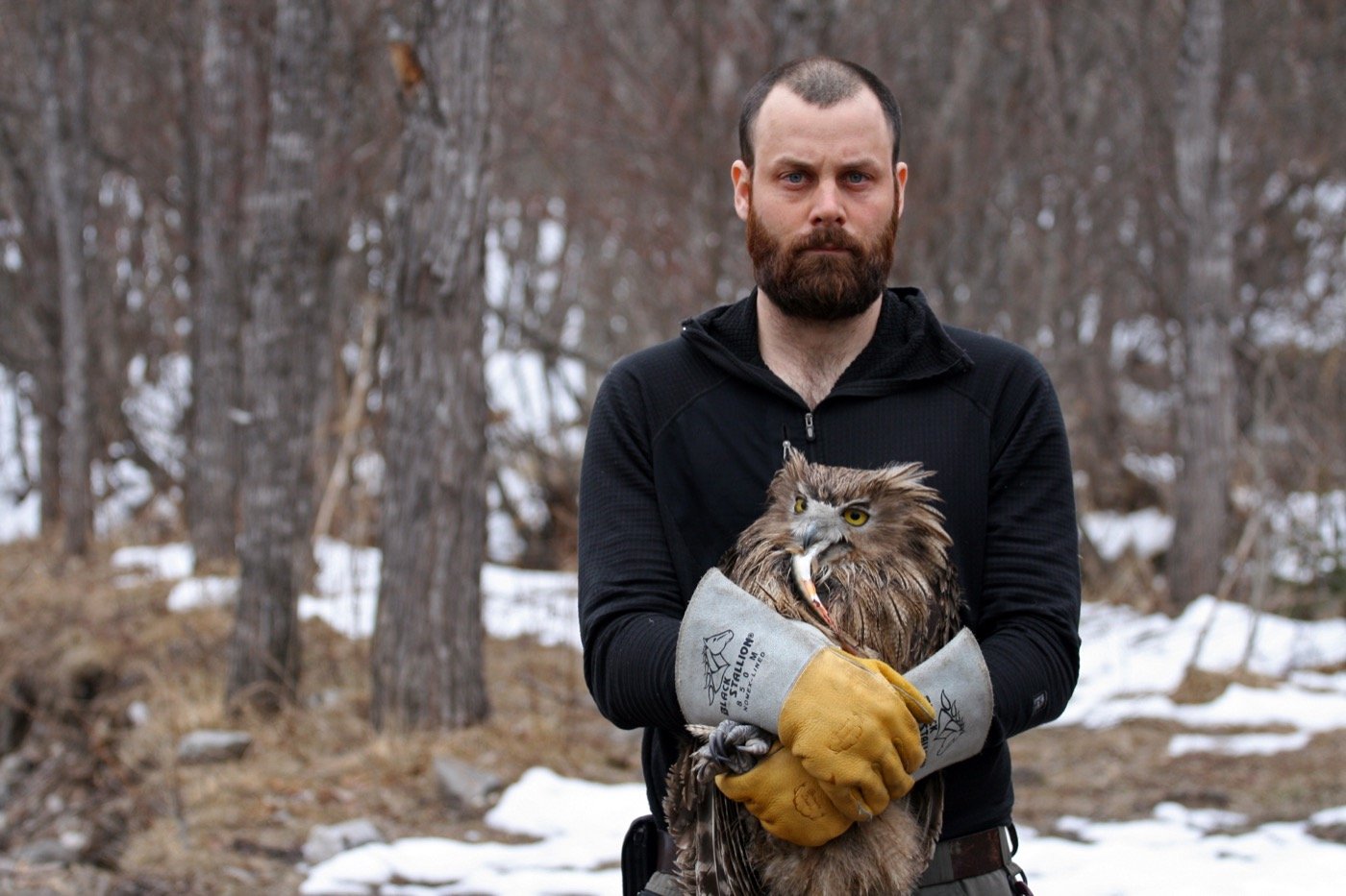 Dr. Jonathan Slaght holding a Blakiston's fish owl. Photo by Sergei Avdeyuk/Amur-Ussuri Centre for Avian Biodiversity, via jonathanslaght.com